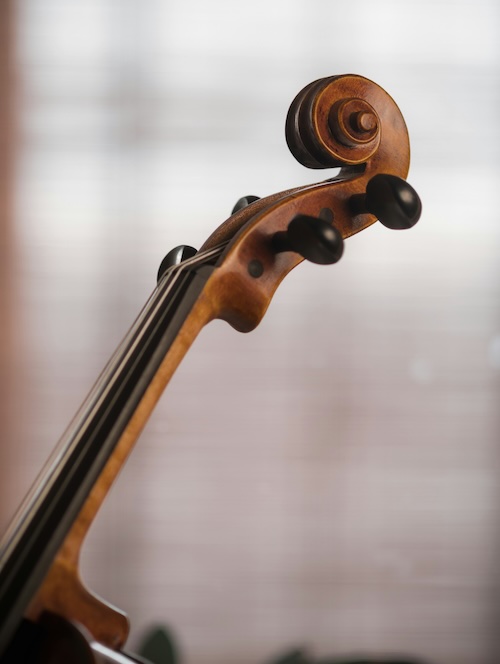 Musikstrasse - Chi siamo